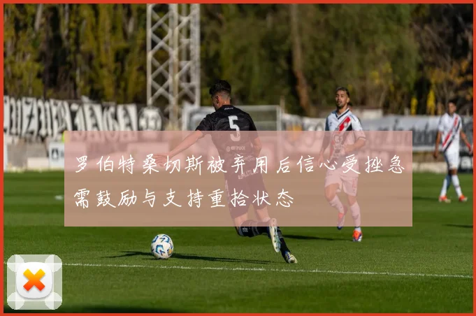罗伯特桑切斯被弃用后信心受挫急需鼓励与支持重拾状态