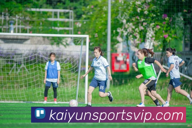 App Interface Preview