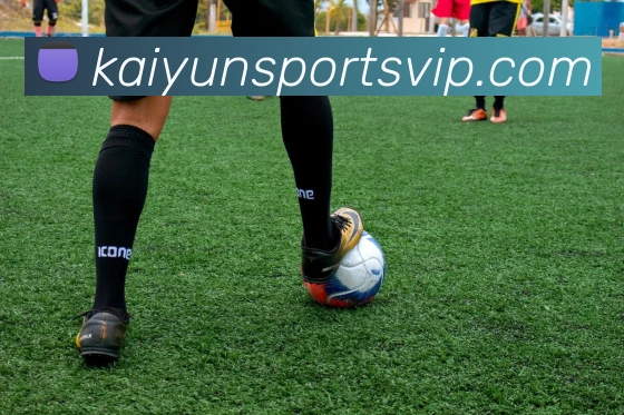 开云体育APP 封面图